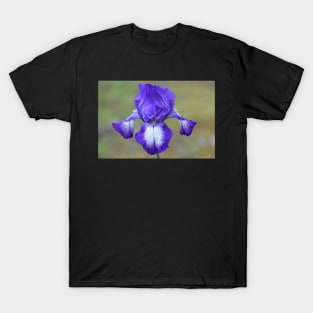 Fully bloomed T-Shirt